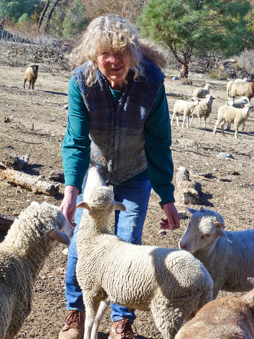 the-livestock-conservancy